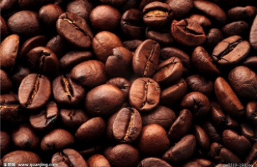 我国准予进口咖啡豆和可可豆的国家或地区名